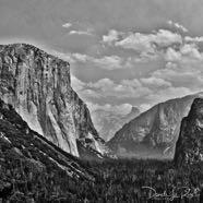 P1170109-Fam-Art-ElCapitan.jpg